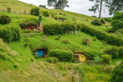 Hobbit Holes on a Hill