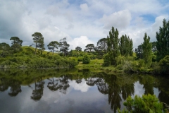 The hill over the pond